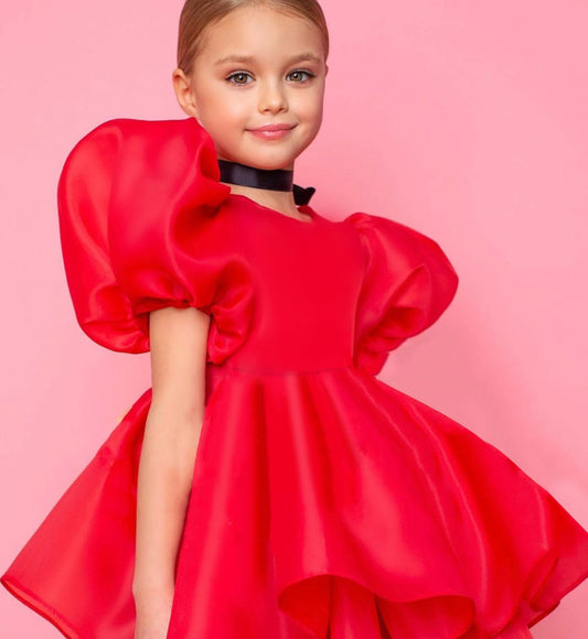 Red Puff Sleeve Party Dress