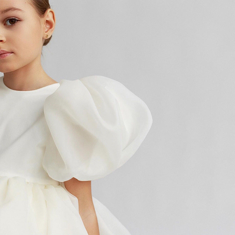 Puff Sleeve Party Dress